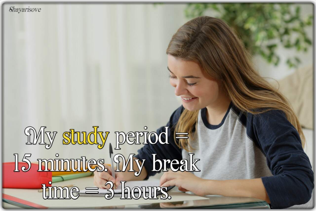 My study period