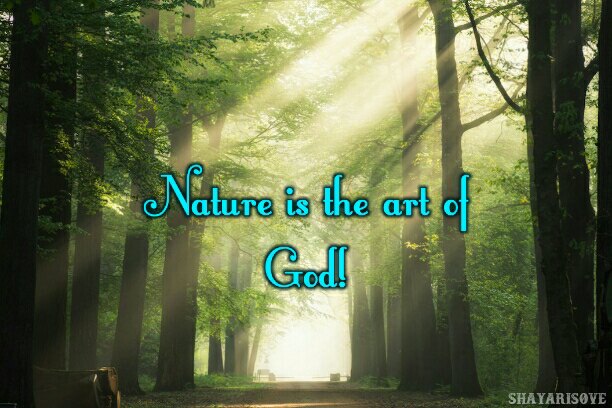 Nature is art of god