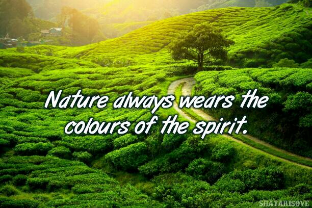 nature best quotes