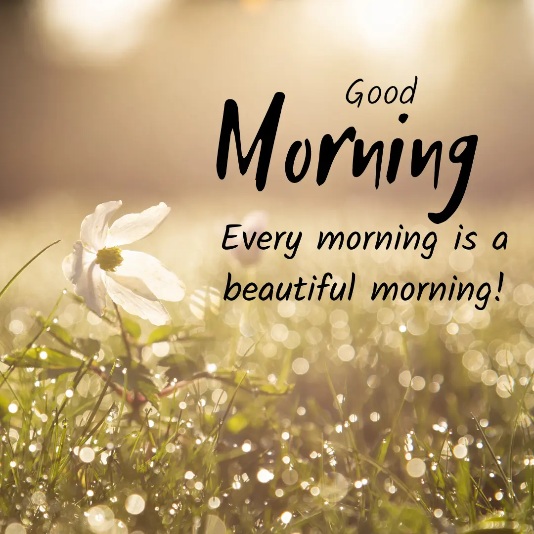 Best Good Morning Quotes
