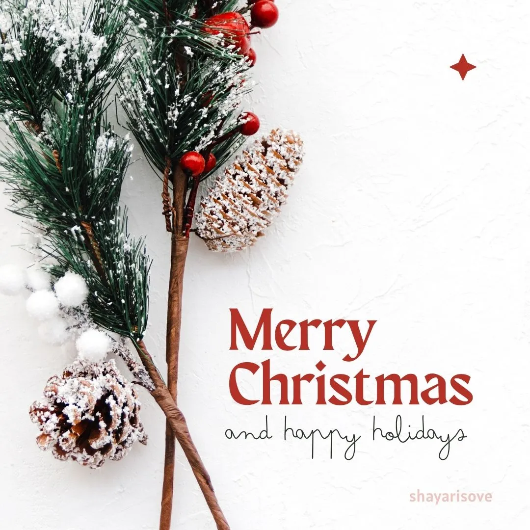 merry christmas wishes quotes